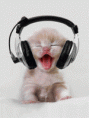 /album/imagens-gifs/gato-curtindo-um-som-gif/
